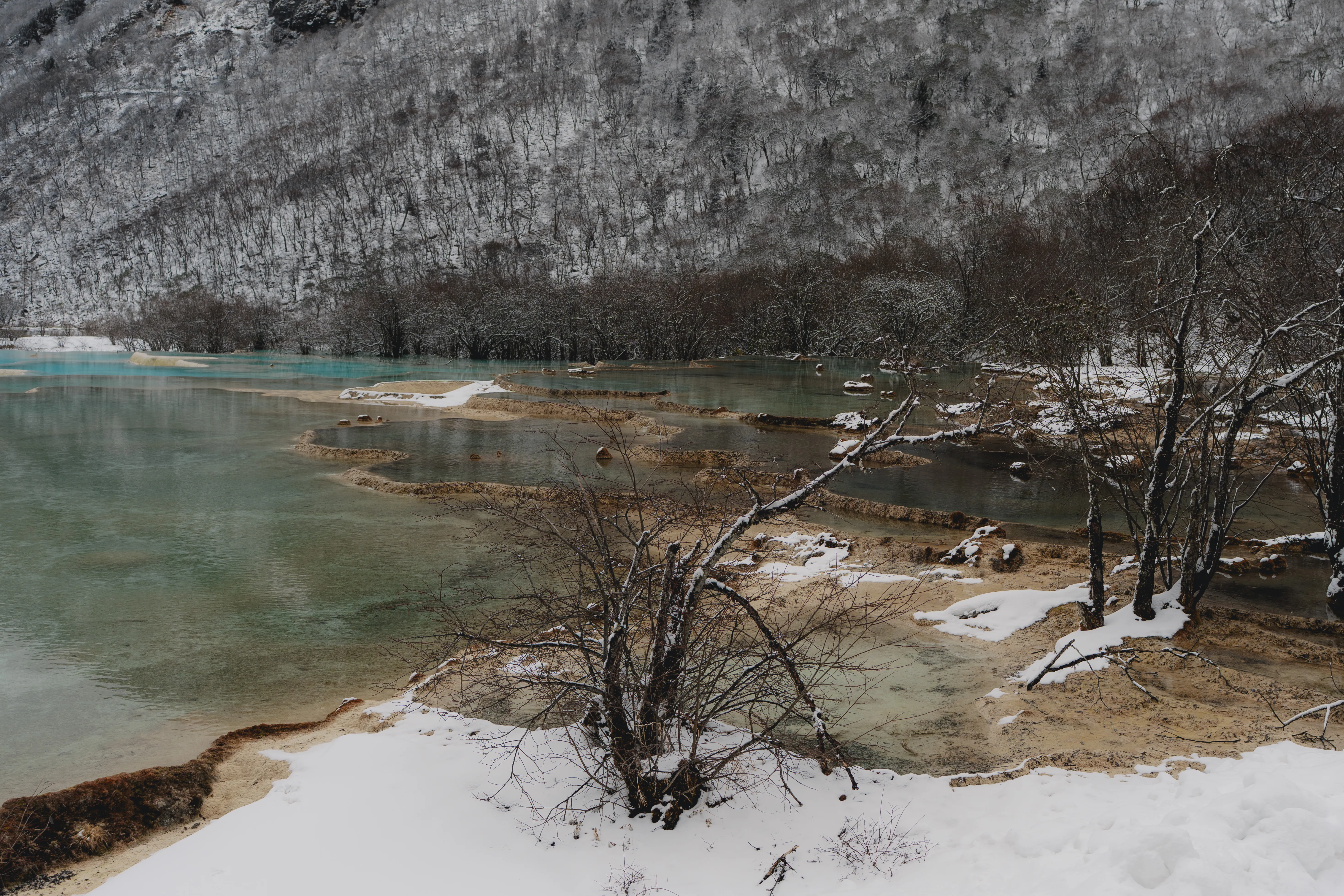 Snow-lined shore of a pale, glass-green lake