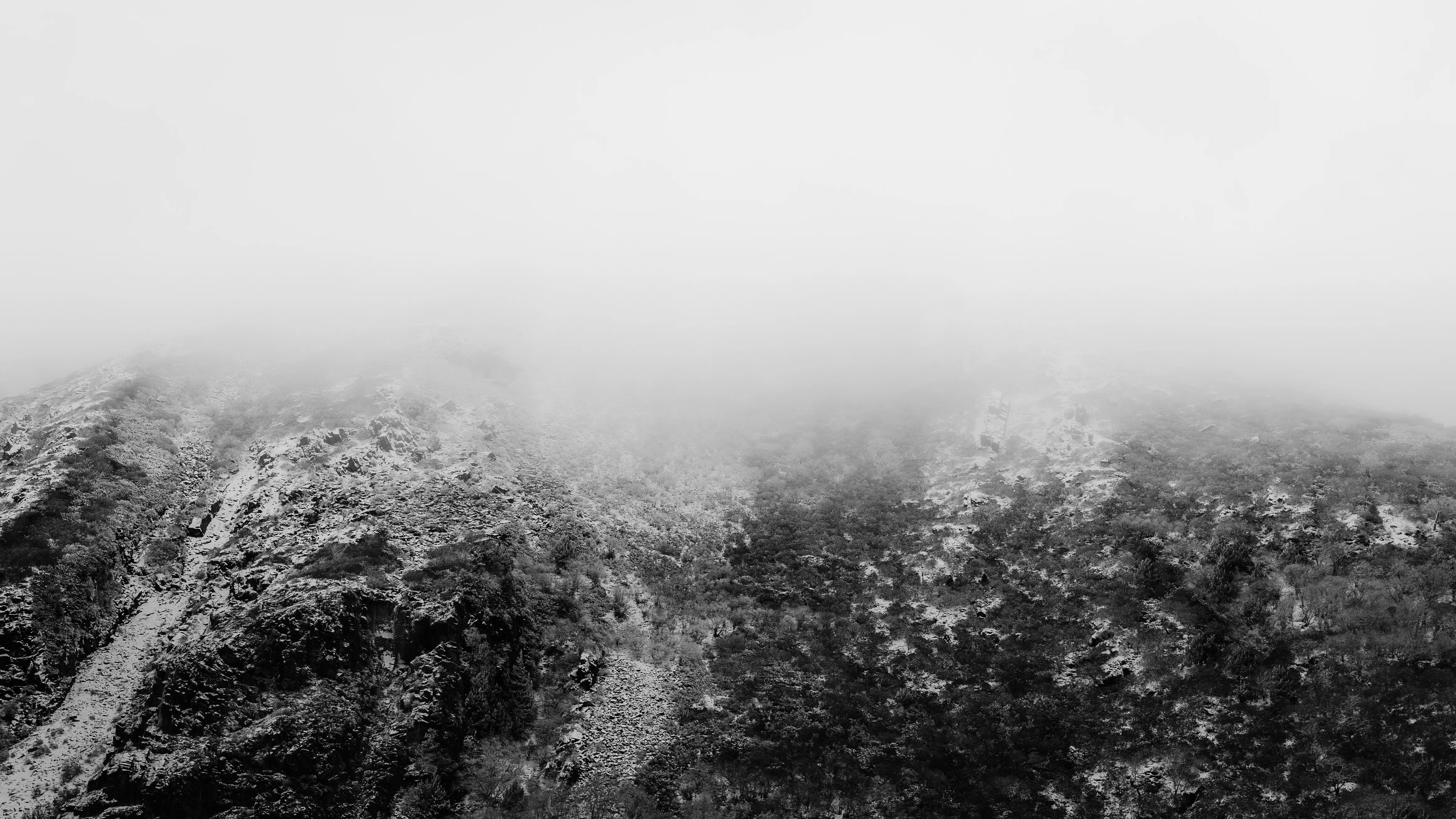 A misted mountainside in near monochrome