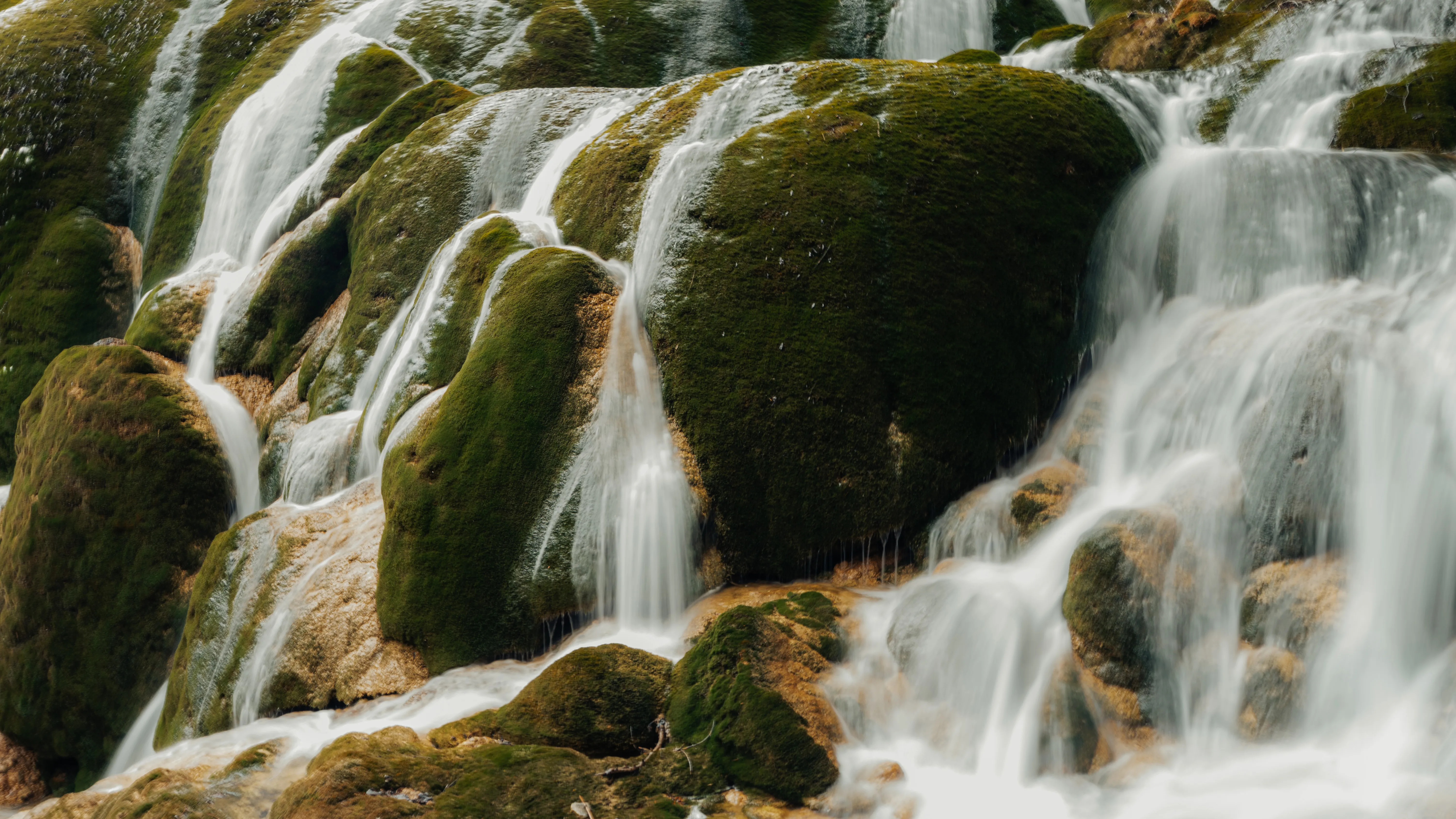 Moss and streaming water, ground-level study